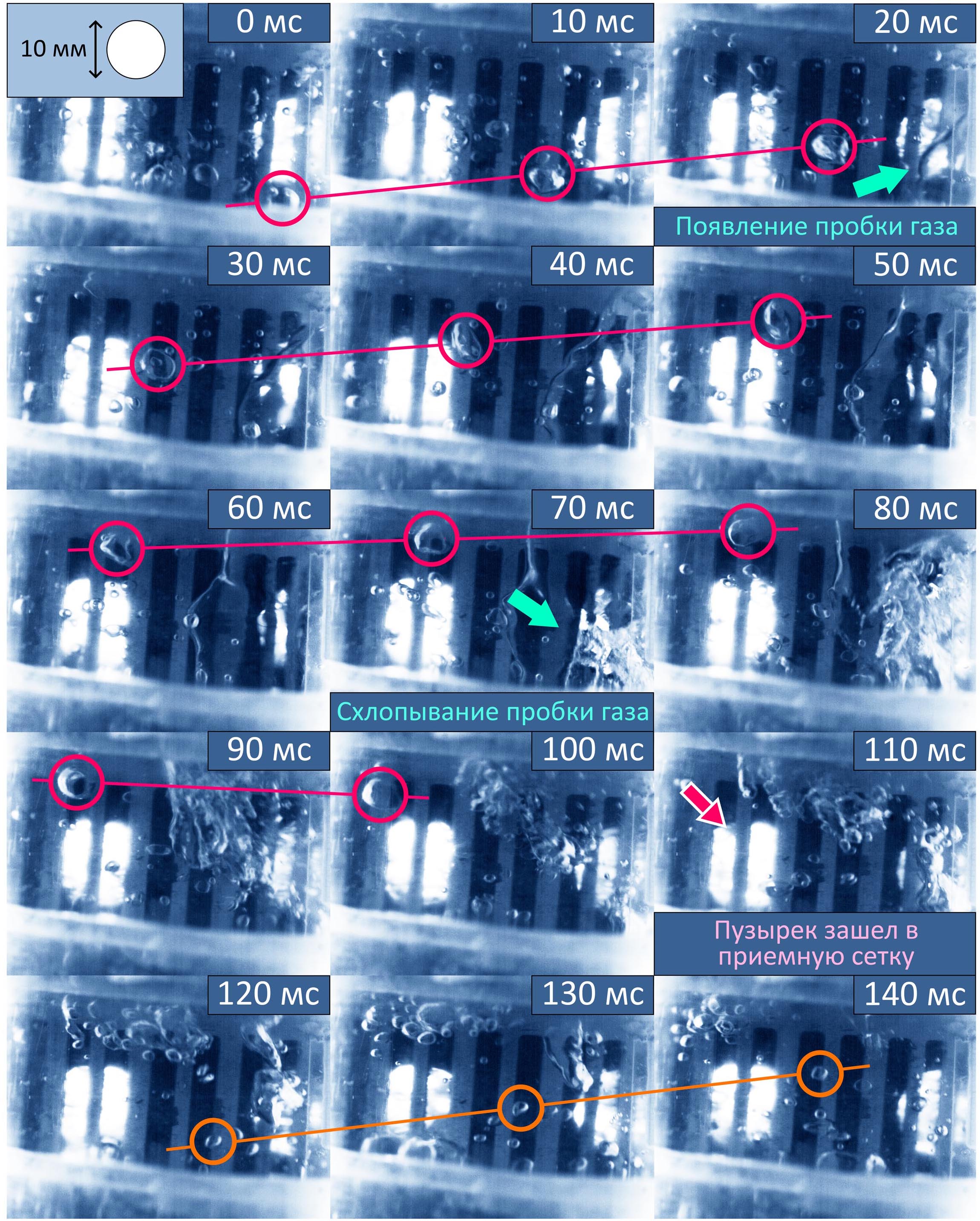 Изображение на обложке