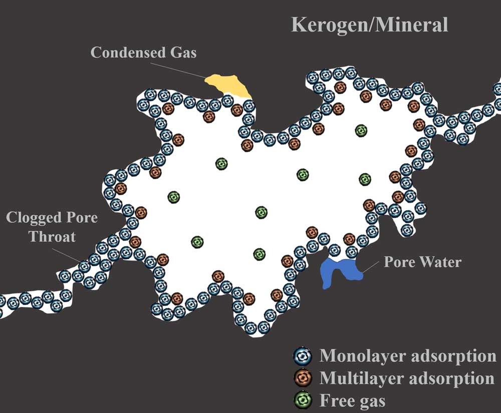 Изображение на обложке