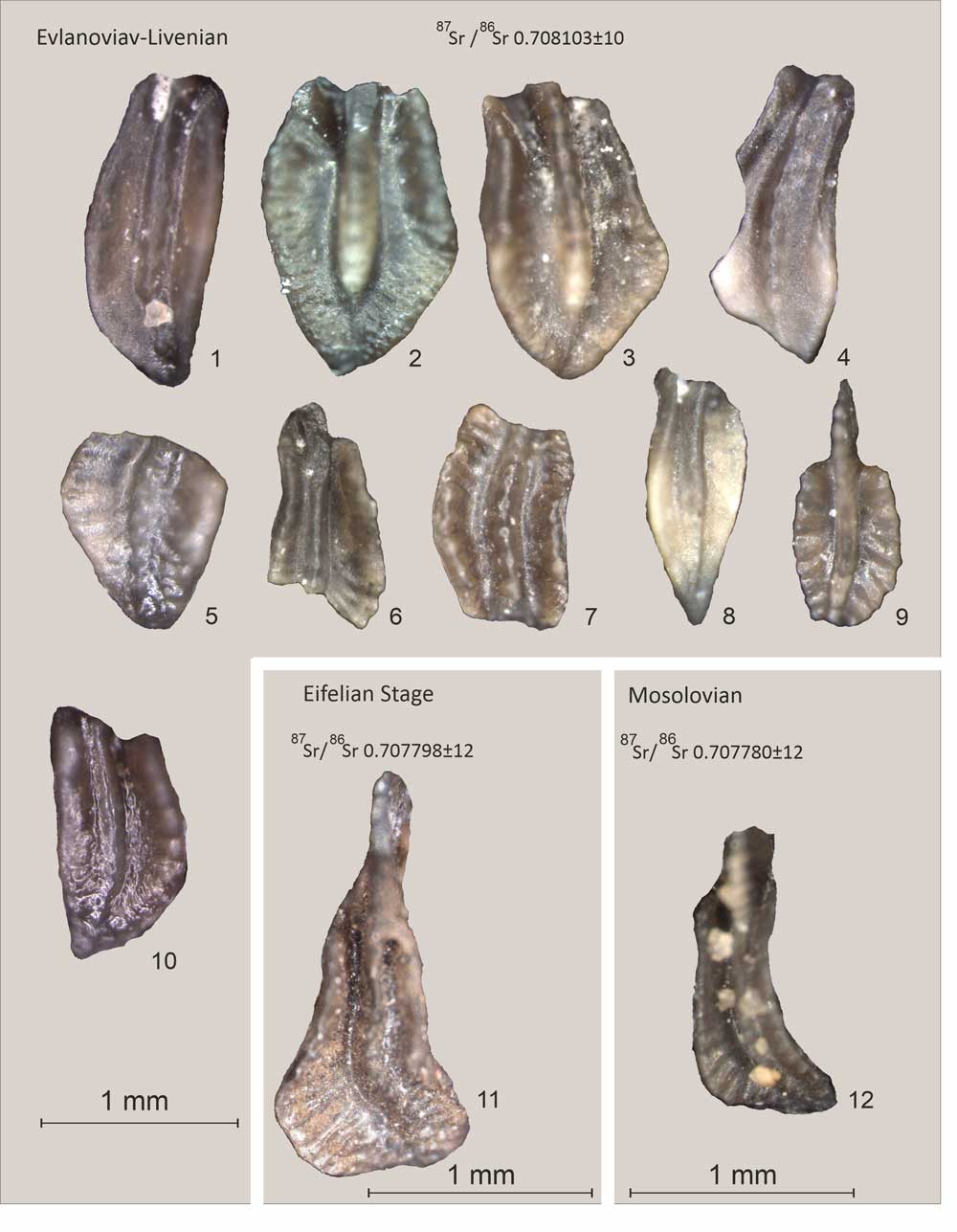 Изображение на обложке